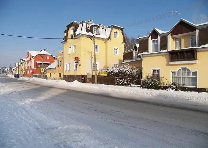 U Antonickova Pramene Гостевой дом Марианске-Лазне