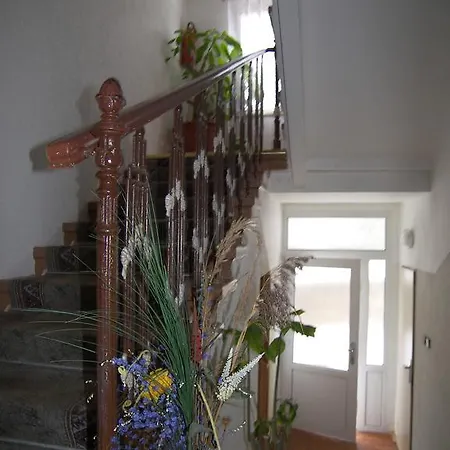 U Antonickova Pramene Gæstehus Mariánské Lázně